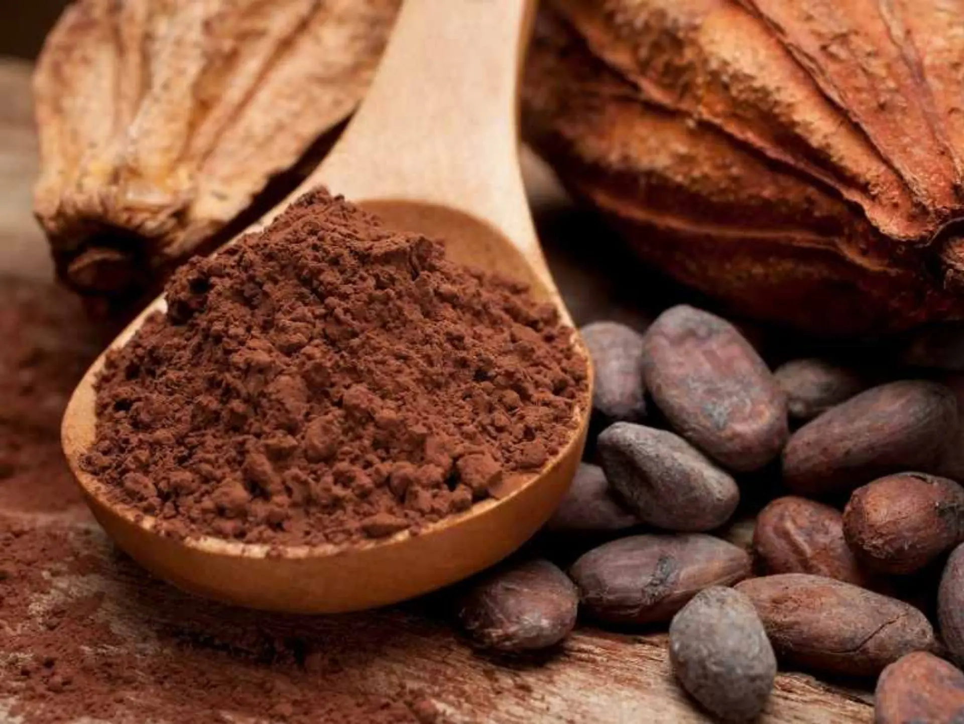 Cacao nguyên chất nóng (Pure Cocoa)