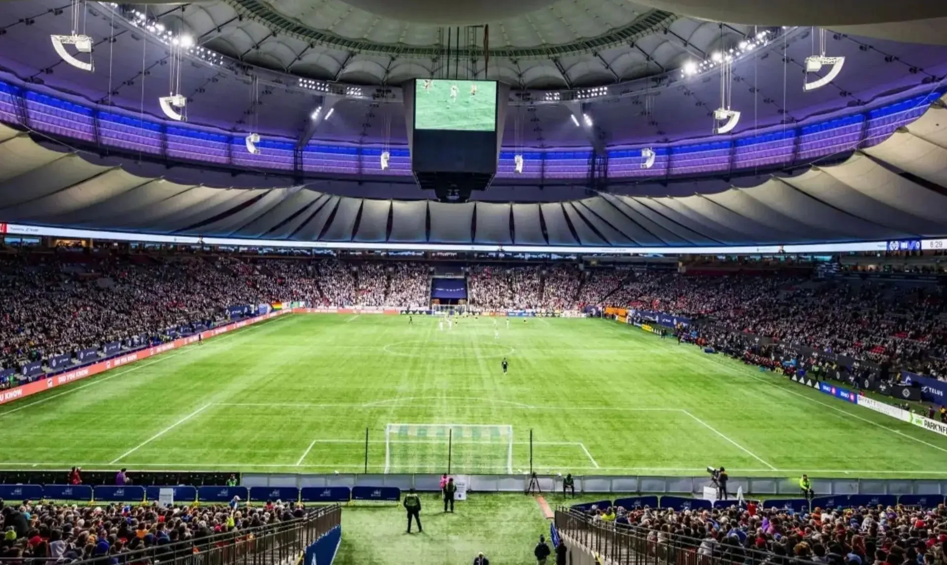 Mặt cỏ của sân vận động BC Place