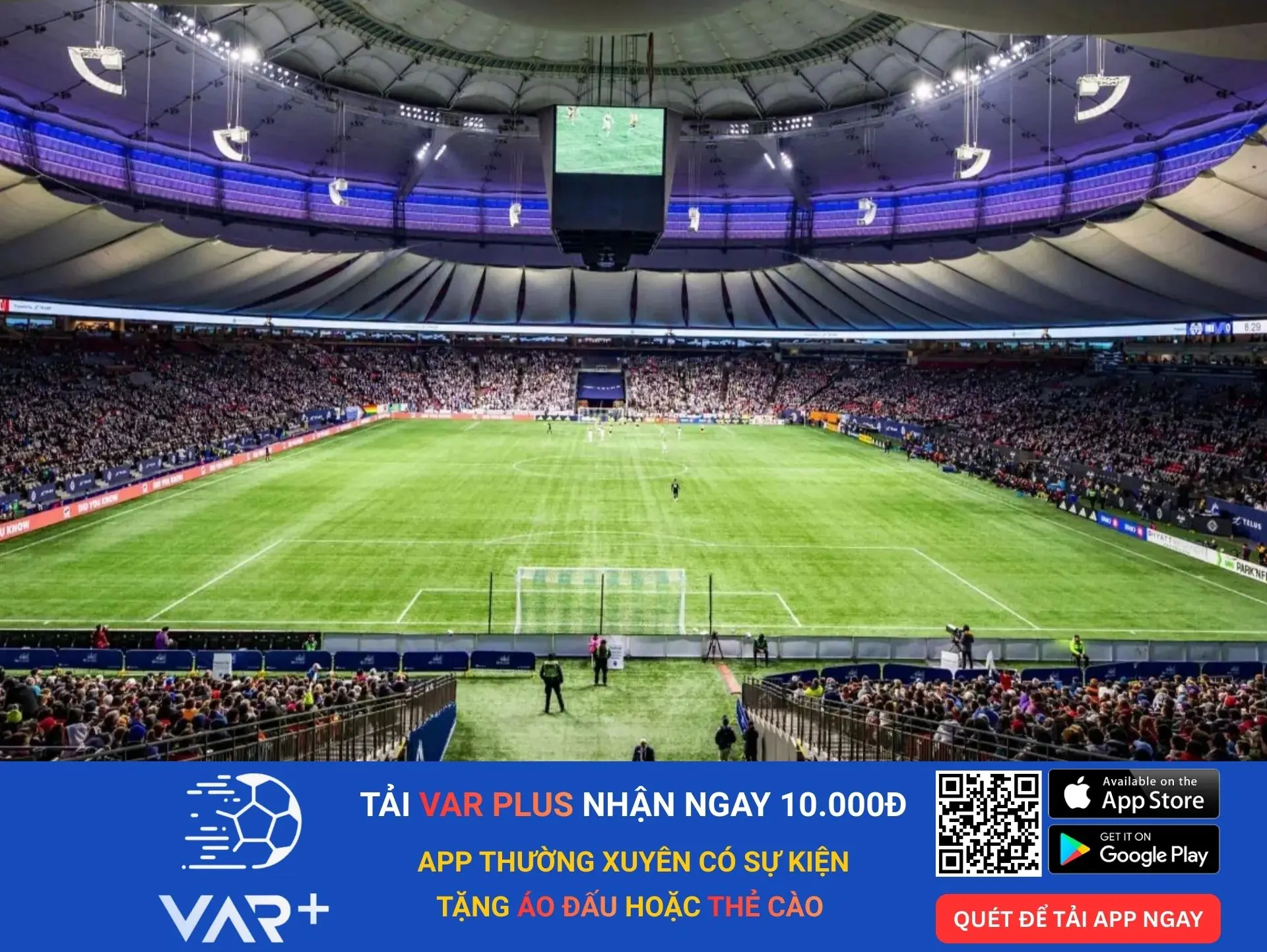 Mặt cỏ của sân vận động BC Place