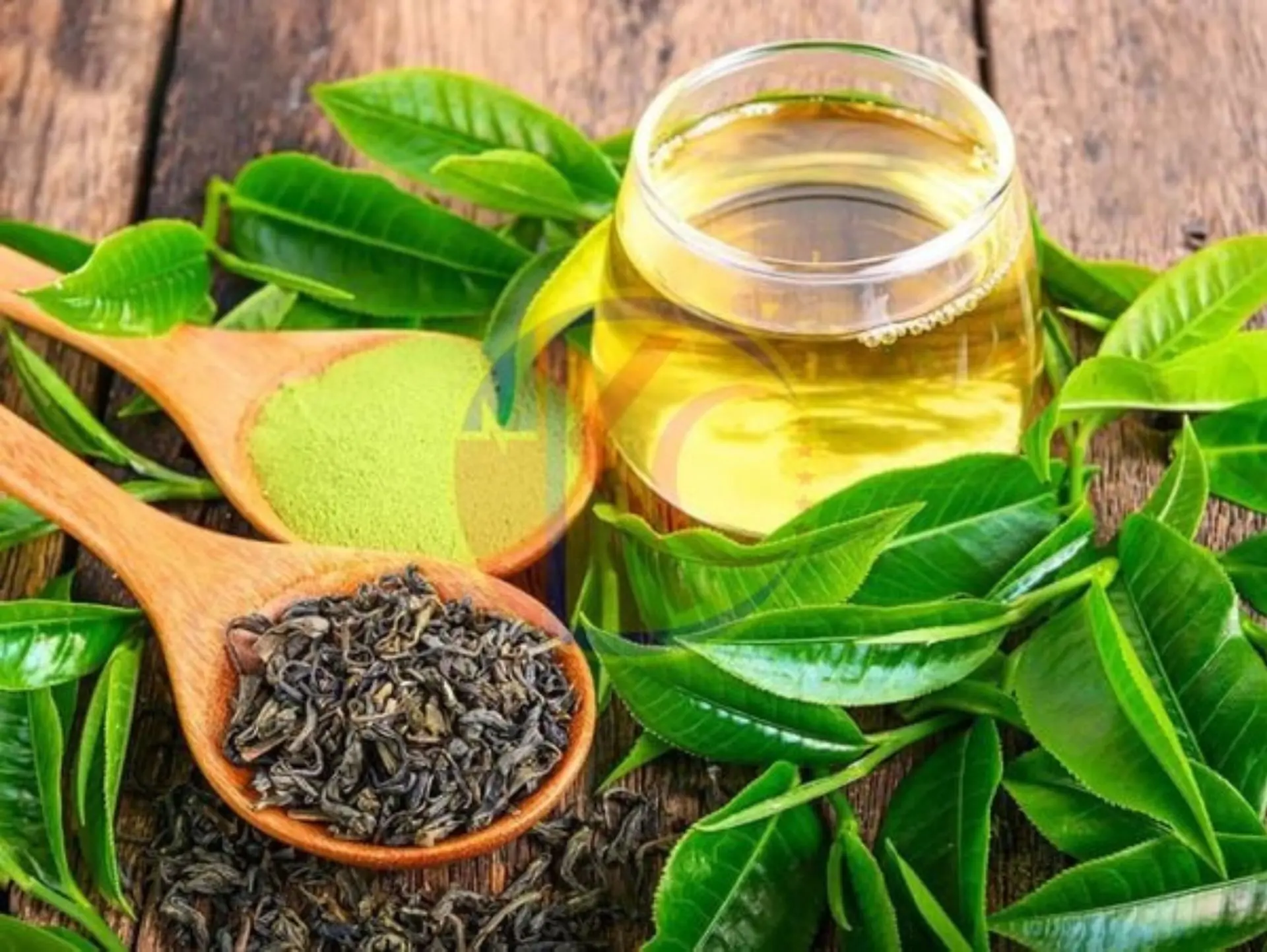 Trà xanh (Green Tea)