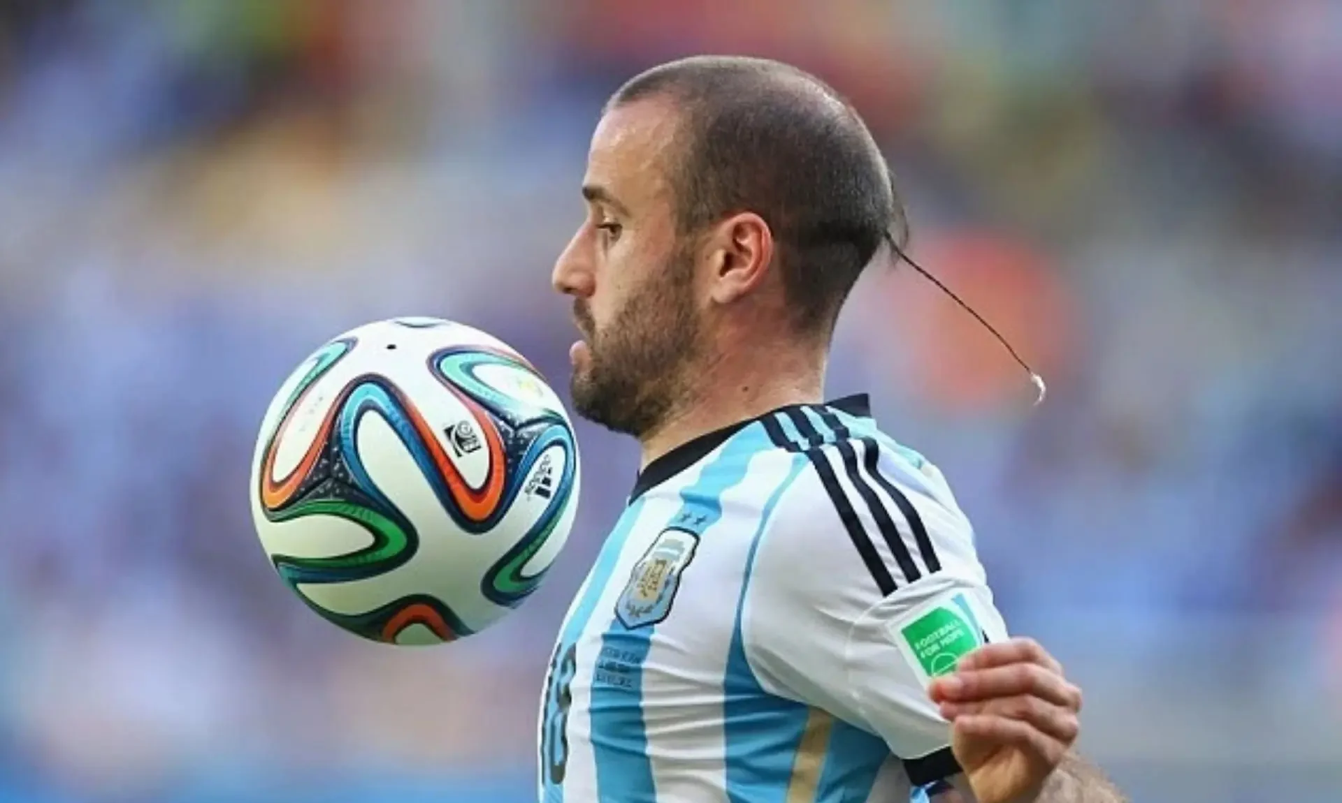 Rodrigo Palacio (Argentina) – "Đuôi chuột" (2014)