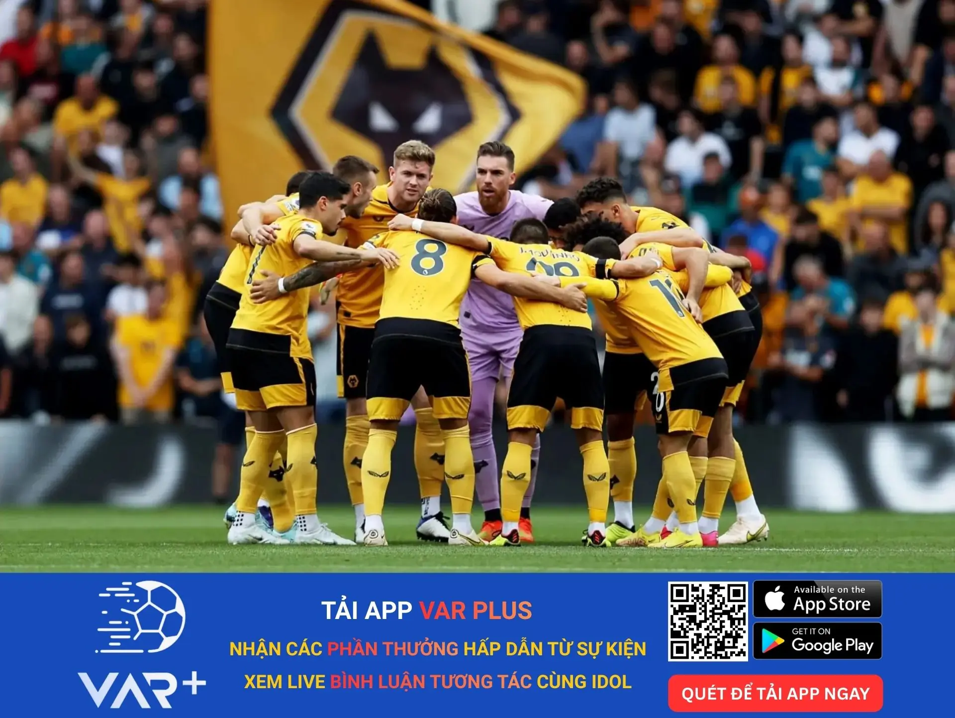 Câu lạc bộ bóng đá Wolverhampton Wanderers: Bầy sói Old Gold của vùng West Midlands 1 Câu lạc bộ bóng đá Wolverhampton Wanderers: Bầy sói Old Gold của vùng West Midlands