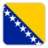 Đội tuyển Bosnia-Herzegovina