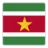 Đội tuyển Suriname