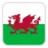 Đội tuyển Wales