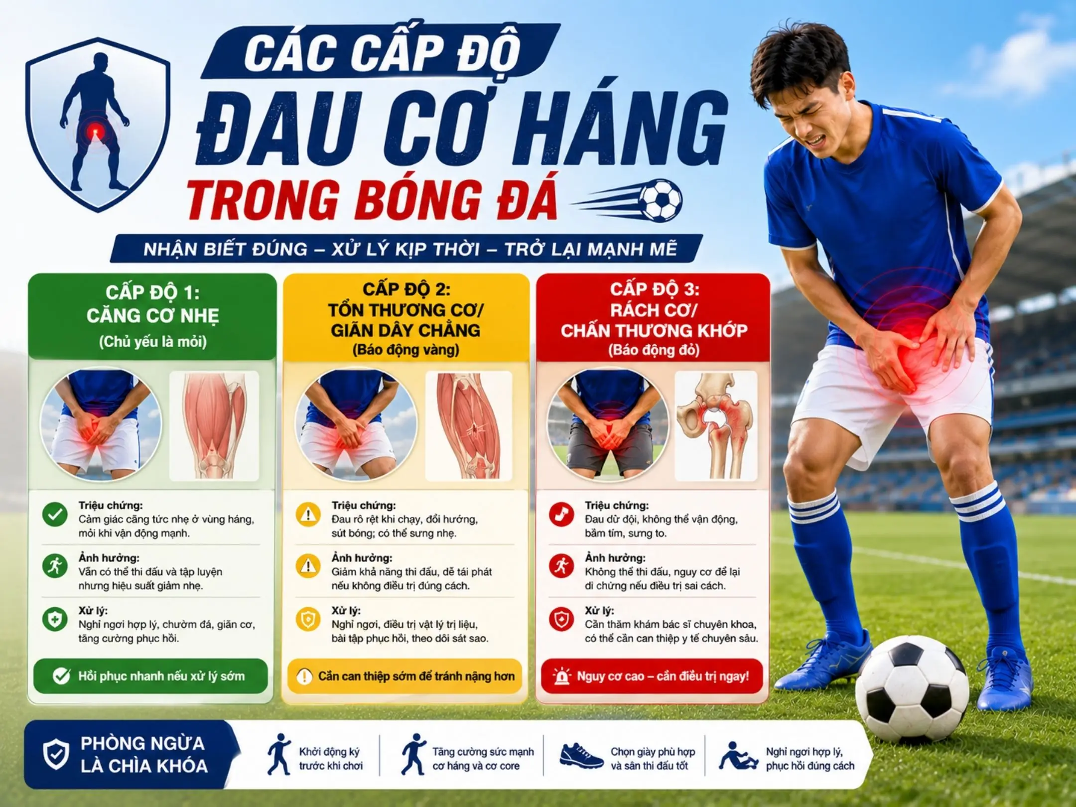 Các cấp độ đau cơ háng trong bóng đá