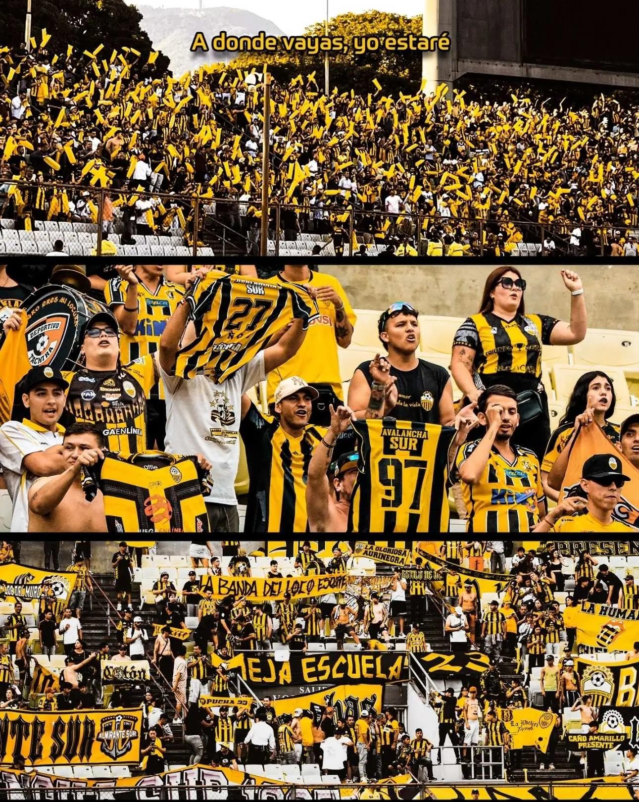 Các cổ động viên cuồng nhiệt của Deportivo Táchira 