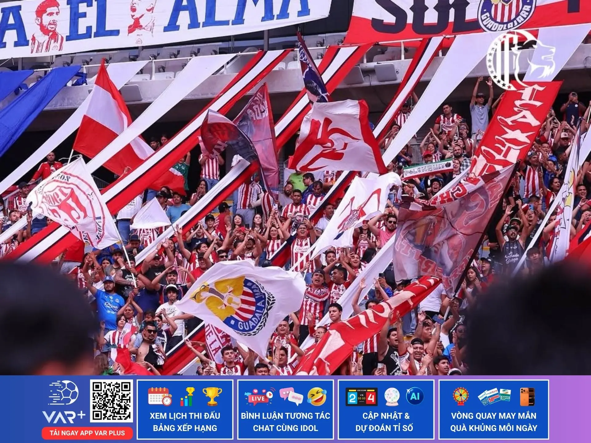 Các cổ động viên cuồng nhiệt của câu lạc bộ Chivas Guadalajara