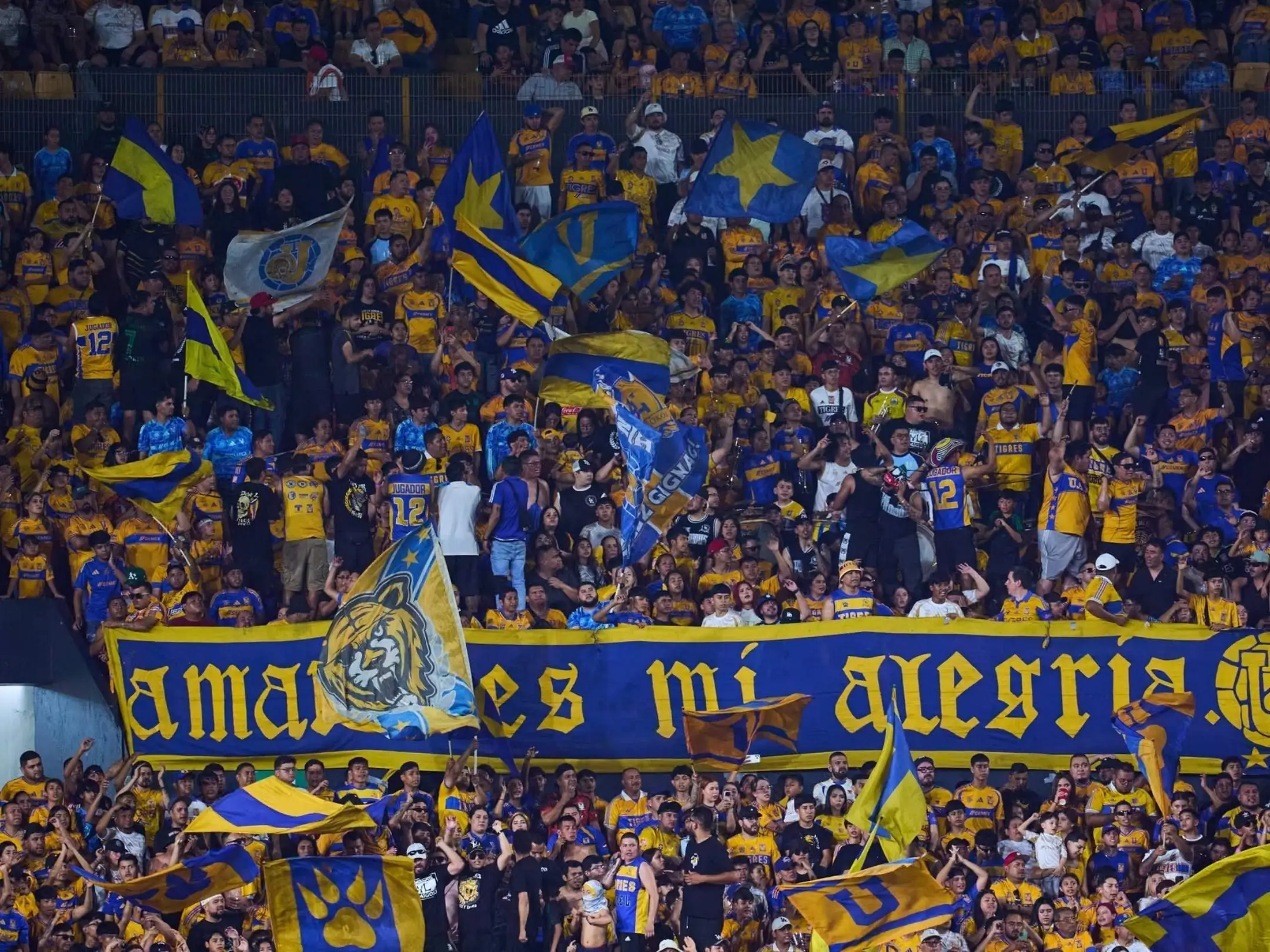 Các cổ động viên cuồng nhiệt của câu lạc bộ Tigres UANL.