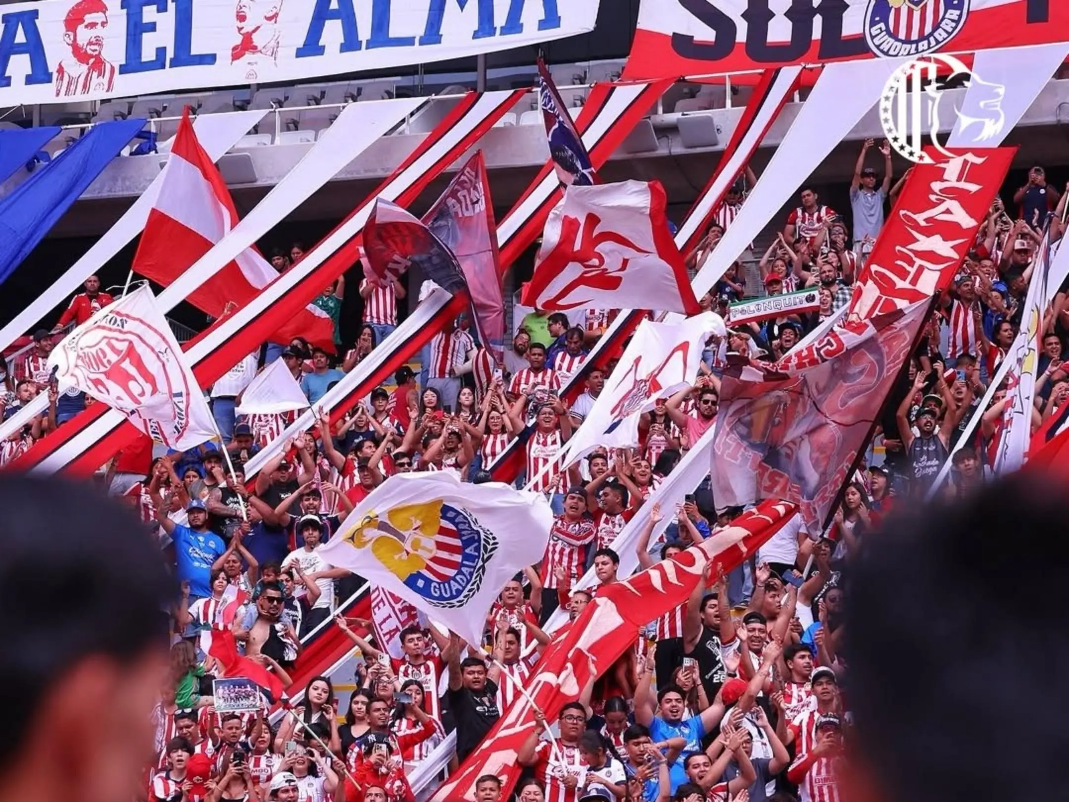 Các cổ động viên cuồng nhiệt của câu lạc bộ Chivas Guadalajara
