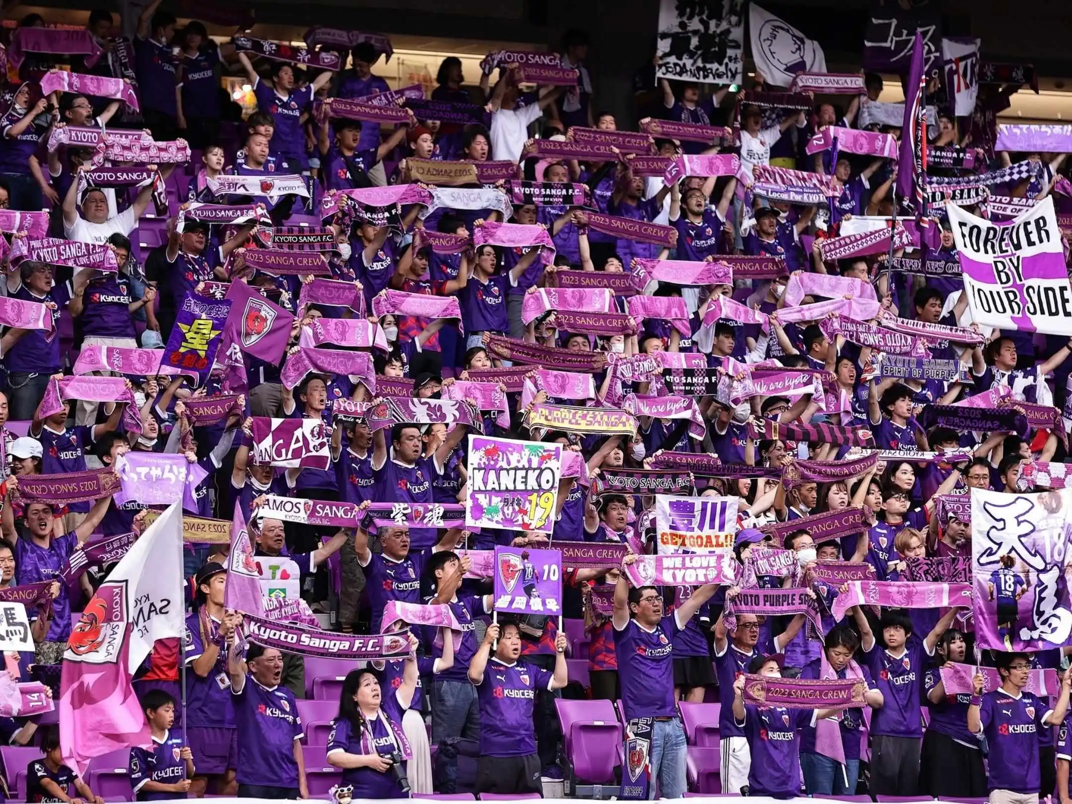 Câu lạc bộ bóng đá Kyoto Sanga: Sắc tím giữa lòng cố đô 5 Cổ động viên cuồng nhiệt của câu lạc bộ bóng đá Kyoto Sanga