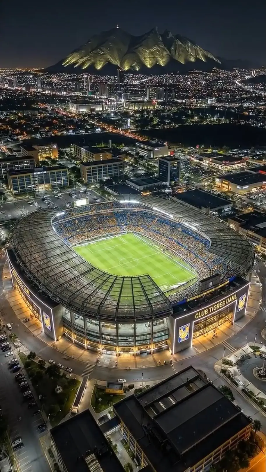 Quang cảnh về đêm của  sân vận động Estadio Universitario.