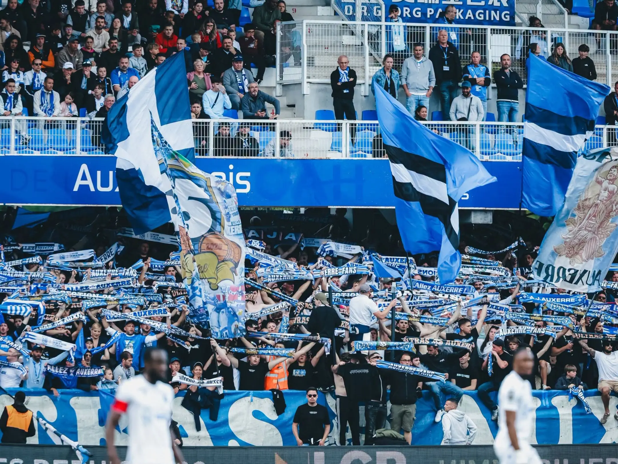 Các cổ động viên cuồng nhiệt của câu lạc bộ bóng đá AJ Auxerre