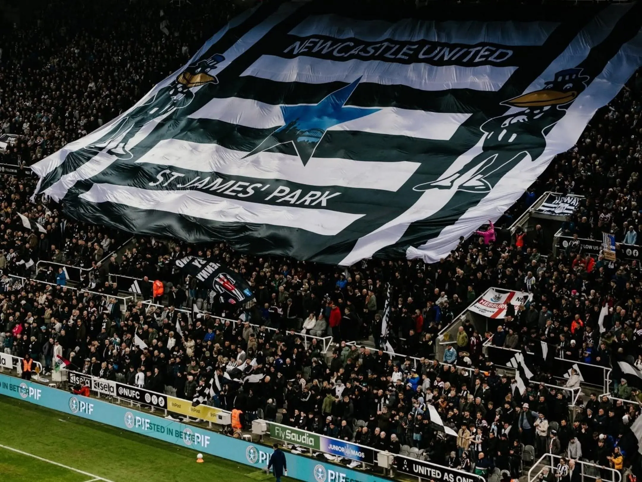 Câu lạc bộ bóng đá Newcastle United: Khát vọng xưng vương 5 Các cổ động viên cuồng nhiệt của câu lạc bộ bóng đá Newcastle United