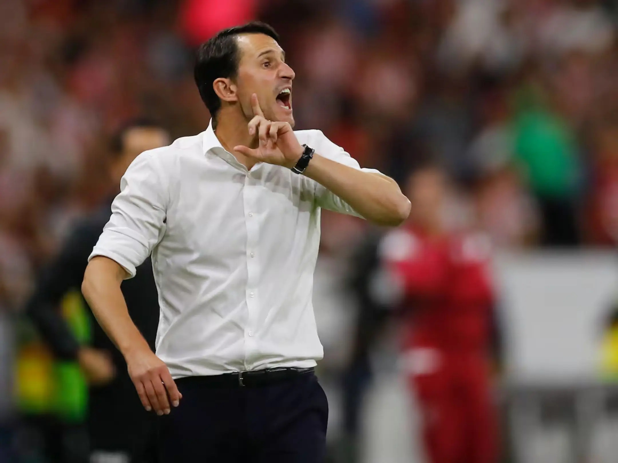 Huấn luyện viên của câu lạc bộ Bóng đá Rayo Vallecano: Beñat San José. 