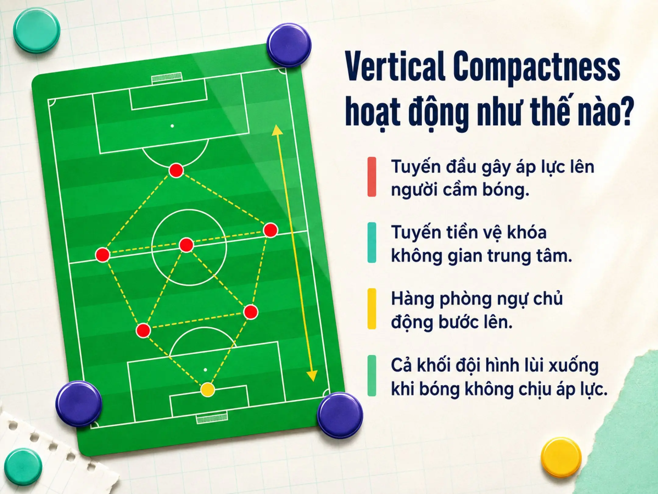 Vertical Compactness hoạt động như thế nào?