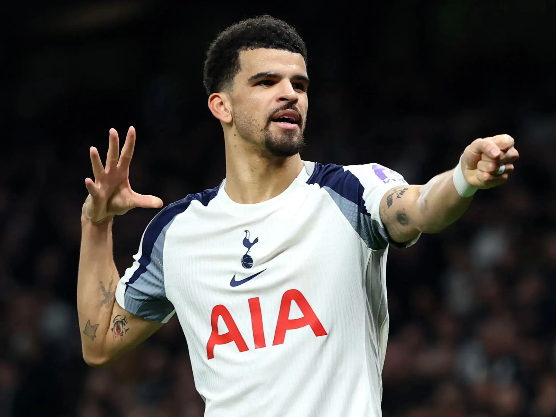 Dominic Solanke